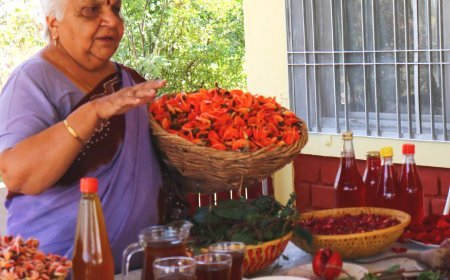 Workshop: .People playing and enjoy eco-friendly, safe and healthy