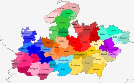 Transport Services to be Improved Across the State: Chief Minister Dr. Mohan Yadav