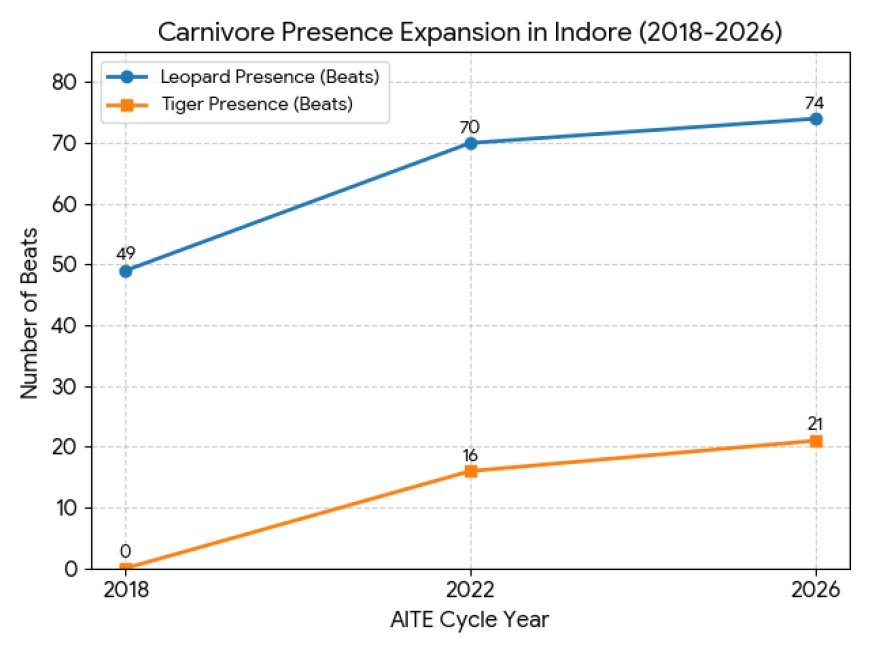 Leopards Lead Predator Comeback in Indore Forests | Multi-Carnivore Recovery