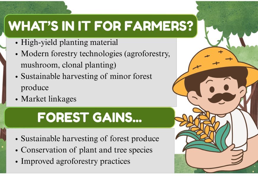 Cultivating progress: Malwa farmers to adopt market-led forestry | VVK Indore
