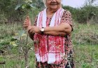 Janak Didi will celebrate her 78th birthday by planting 78 Belpatra trees on Dutani Hill