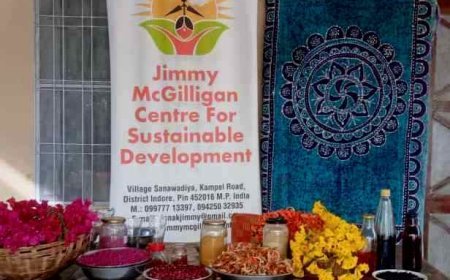 Weeklong Training of Making Natural Colours for Holi starts at the Jimmy McGilligan Centre 