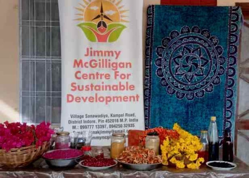 Weeklong Training of Making Natural Colours for Holi starts at the Jimmy McGilligan Centre 