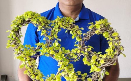 Indore Bonsai Artist Turns Three Carmona Plants Into Stunning Olympic Rings Tree