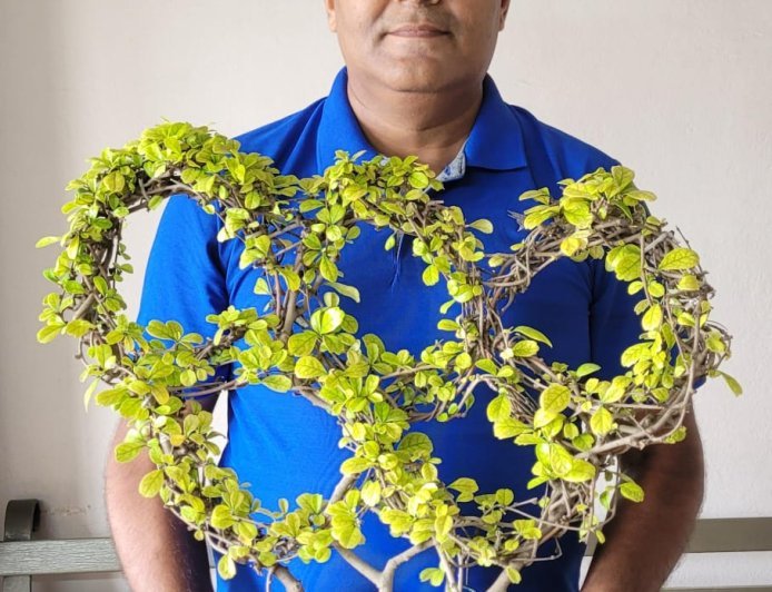 Indore Bonsai Artist Turns Three Carmona Plants Into Stunning Olympic Rings Tree