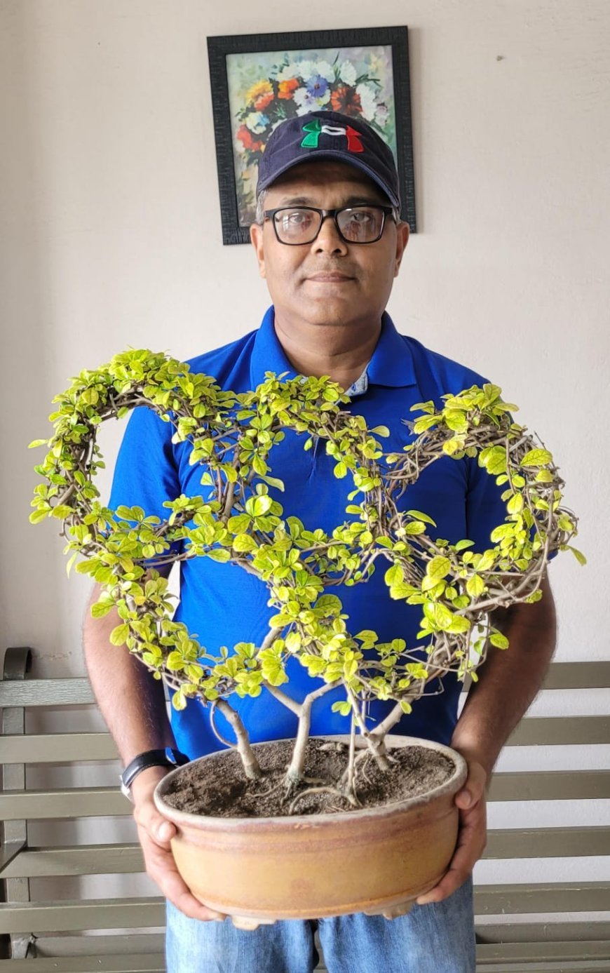 Indore Bonsai Artist Turns Three Carmona Plants Into Stunning Olympic Rings Tree