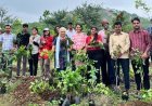 If people link special life events with environmental conservation, positive societal change can be achieved