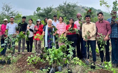 If people link special life events with environmental conservation, positive societal change can be achieved