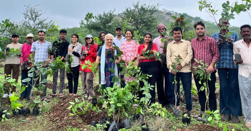If people link special life events with environmental conservation, positive societal change can be achieved